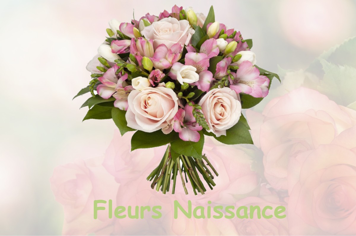 fleurs naissance LE-VAUDIOUX