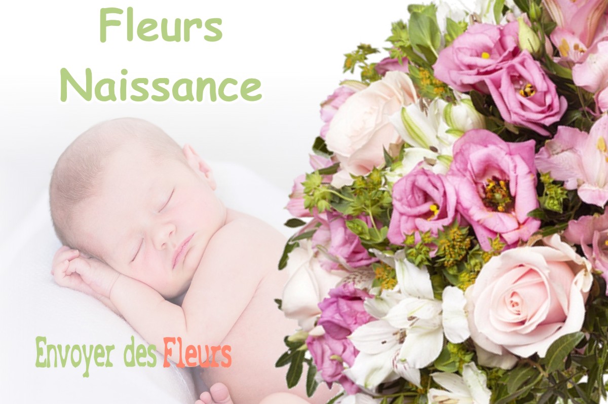 lIVRAISON FLEURS NAISSANCE à LE-VAUDIOUX